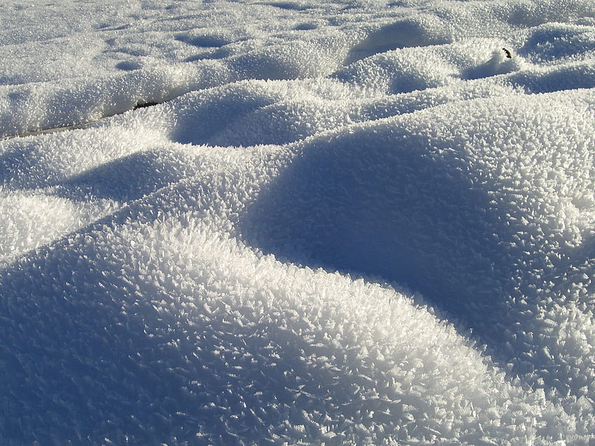 겨울, 자연, 눈, 드리프트, 가시, 가시나무 HD 월페이퍼