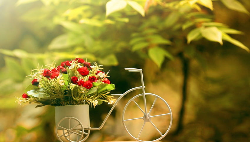 Nature morte, belle, fleurs, vélo, rouge Fond d'écran HD