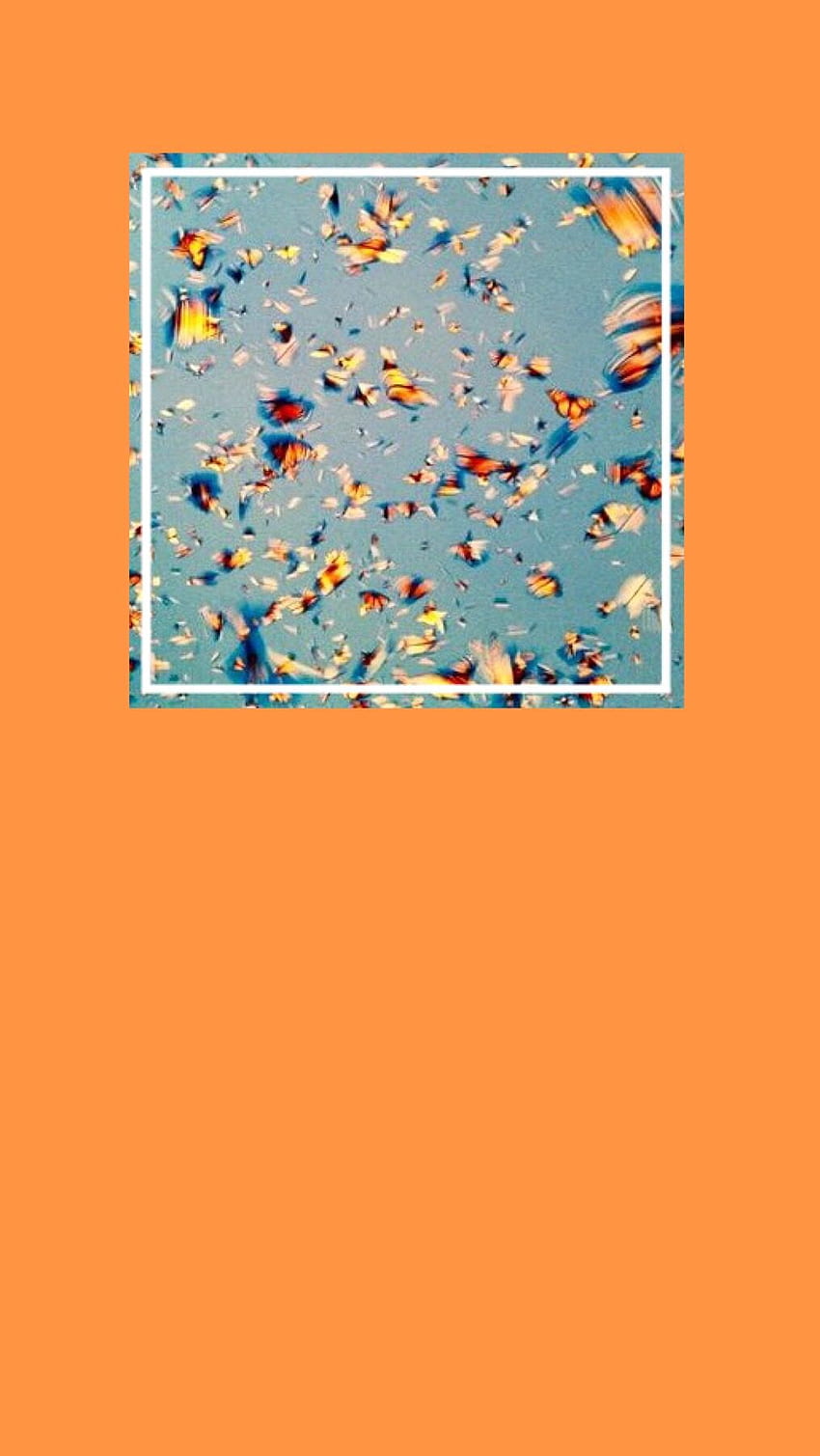 Monarch Butterfly Aesthetic - Creative Arts,, Orange Aesthetic HD phone wallpaper