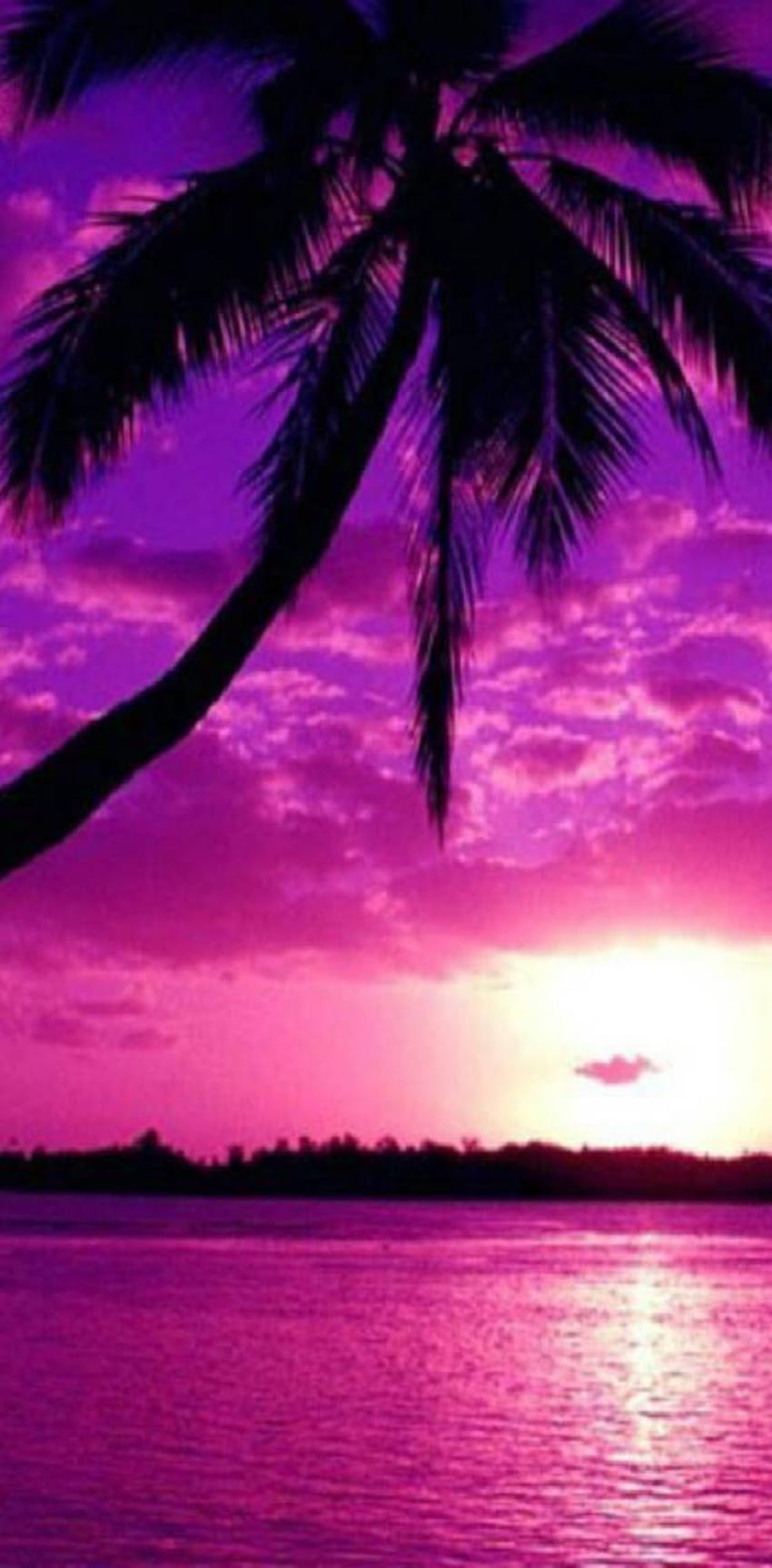 Purple Sunset by wotsitgizmo - on ZEDGEâ , Purple Beach Sunset iPhone ...