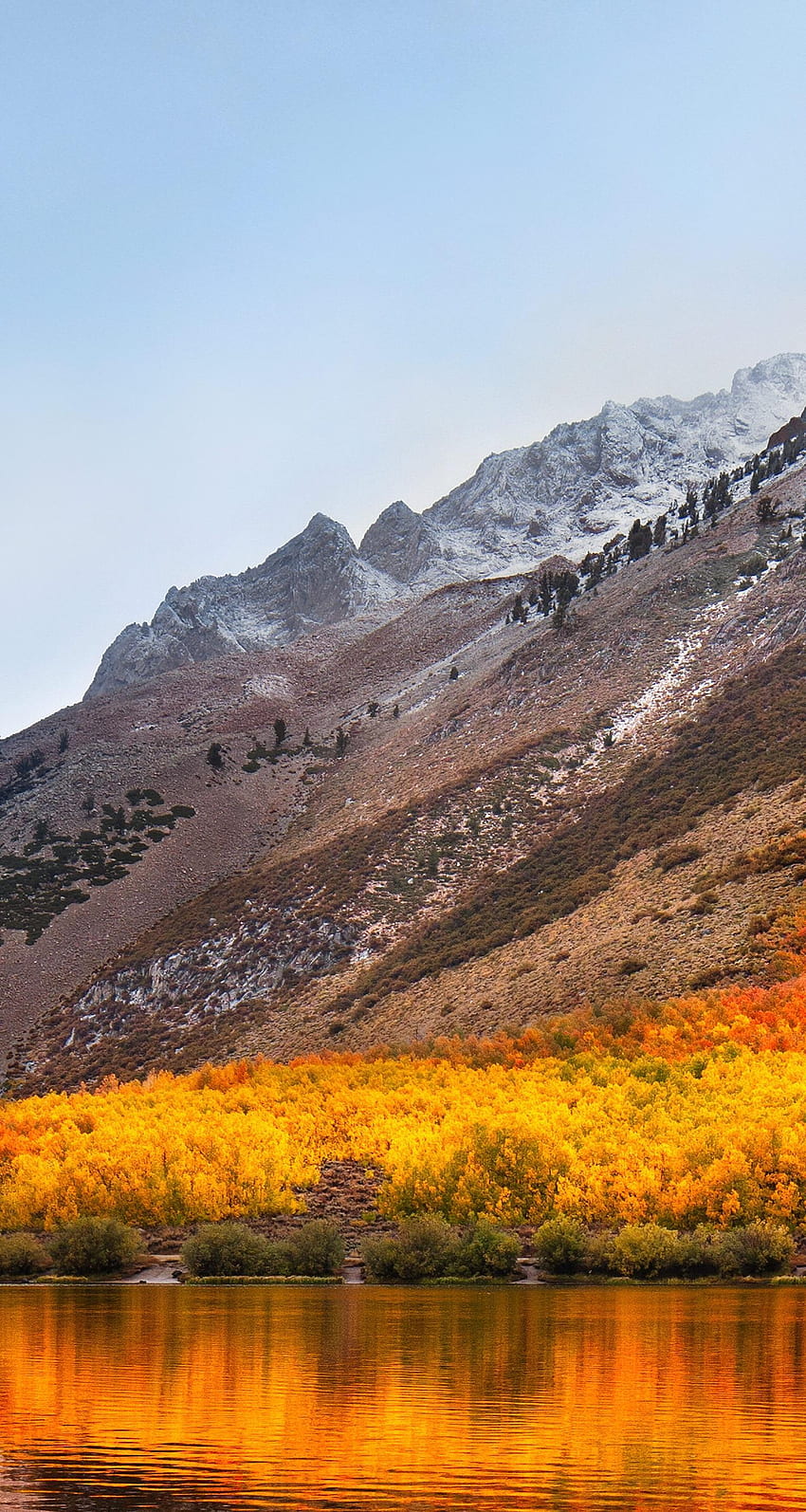 Nature Lone Pine Peak 4k Ultra HD Wallpaper