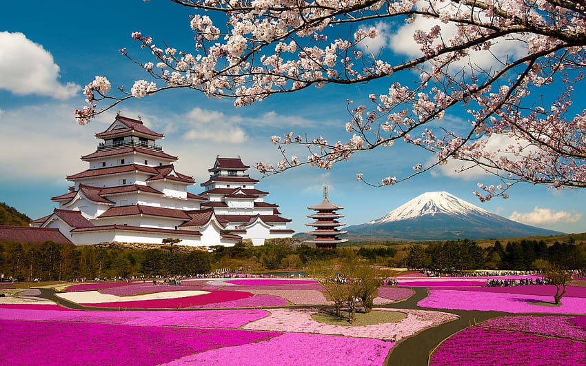 Japan-Landschaft, Japan-Schloss HD-Hintergrundbild