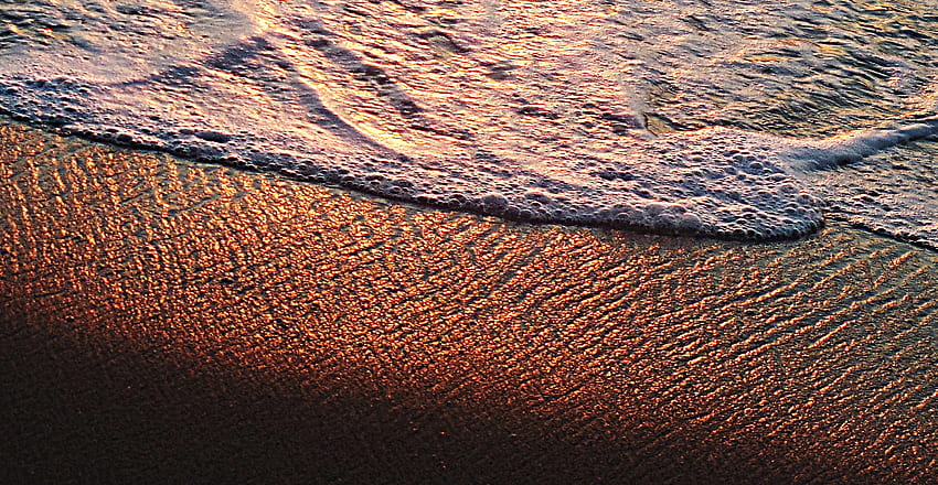 Beach, foam, sand, close up HD wallpaper