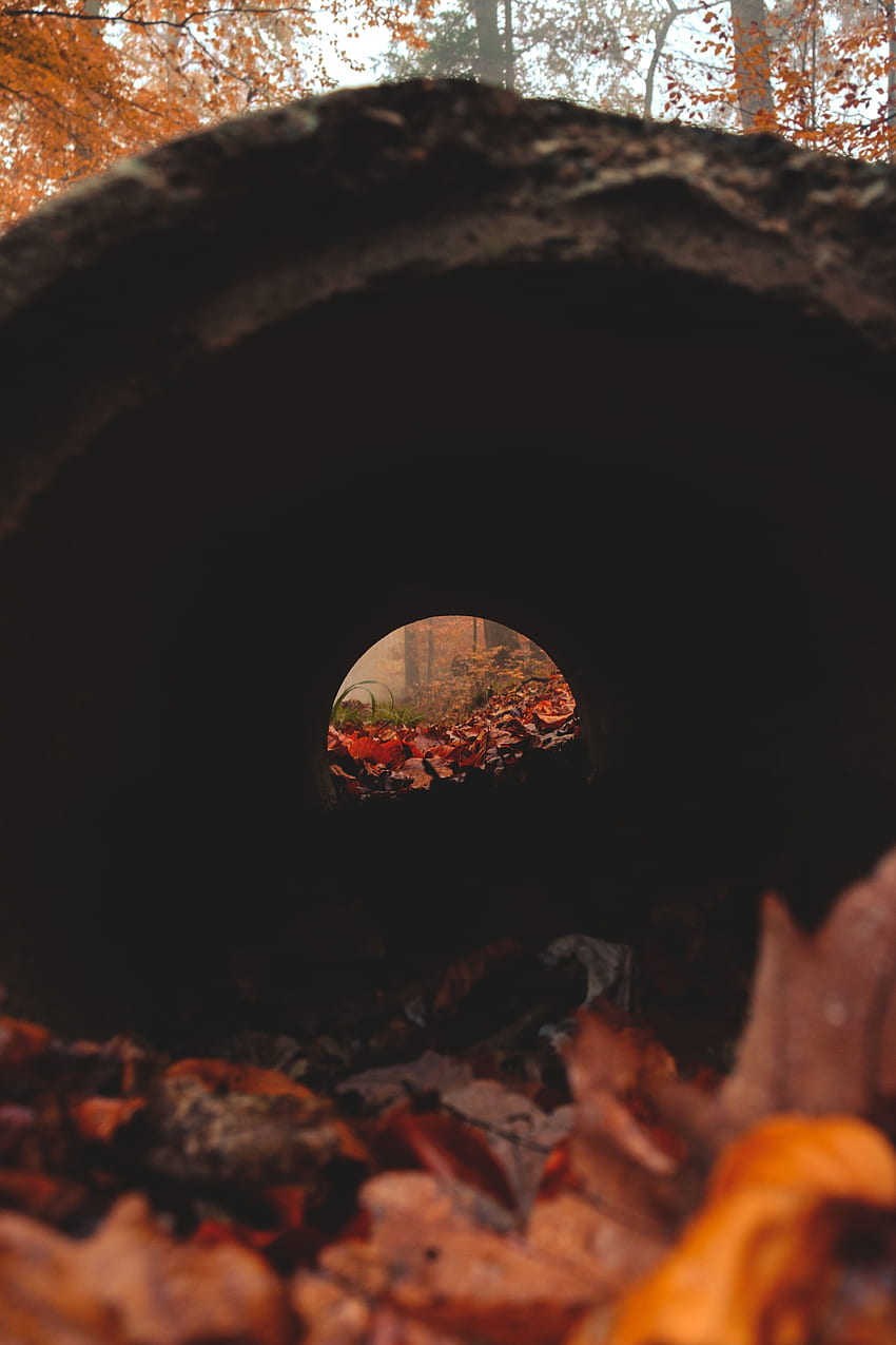 Autumn, Leaves, Dark, , , Trumpet, Pipe, Tunnel HD phone wallpaper
