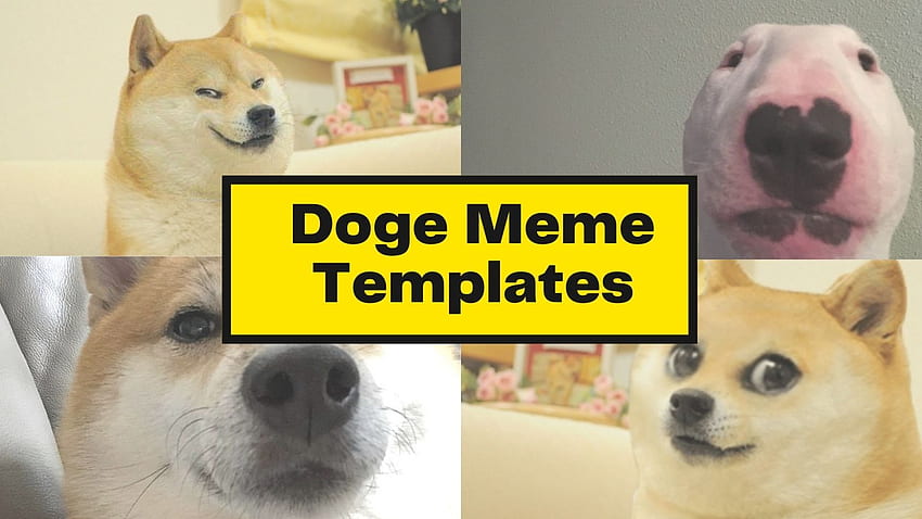 Top 20 Doge Meme Templates Of All Time, Doggo Meme Hd Wallpaper | Pxfuel
