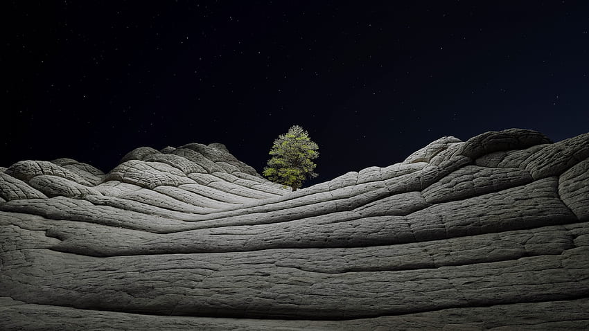 iOS stock, desert, tree at night, nature HD wallpaper