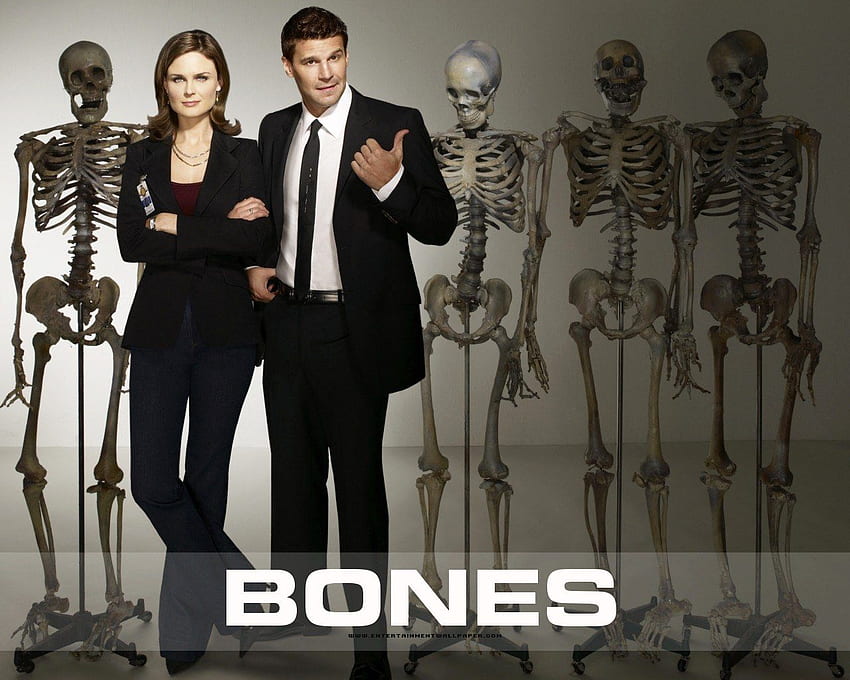 Bones & Castle Bones!♥ และเบื้องหลัง ซีรีส์ทีวีเรื่องใหม่ Bones วอลล์เปเปอร์ HD