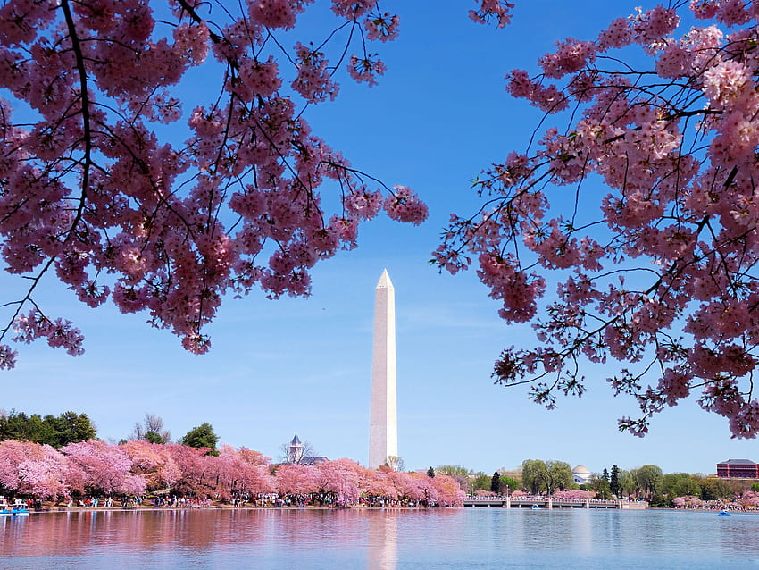 Washington DC-Gruppe (73), DC Spring HD-Hintergrundbild