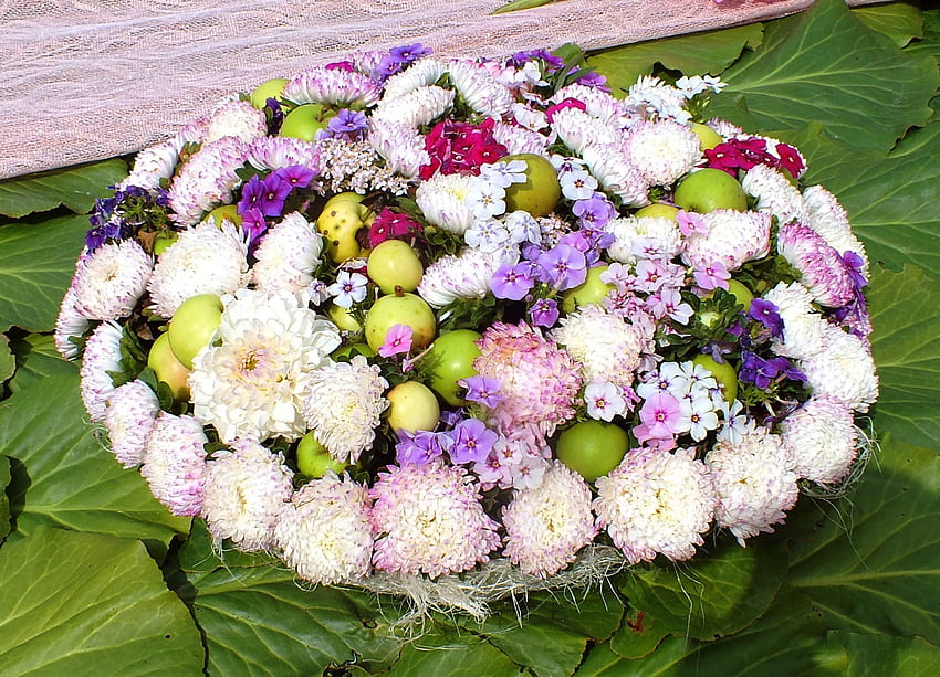 꽃들. Ventspils, 2014., 기타, 자연, 꽃, 엔터테인먼트 HD 월페이퍼