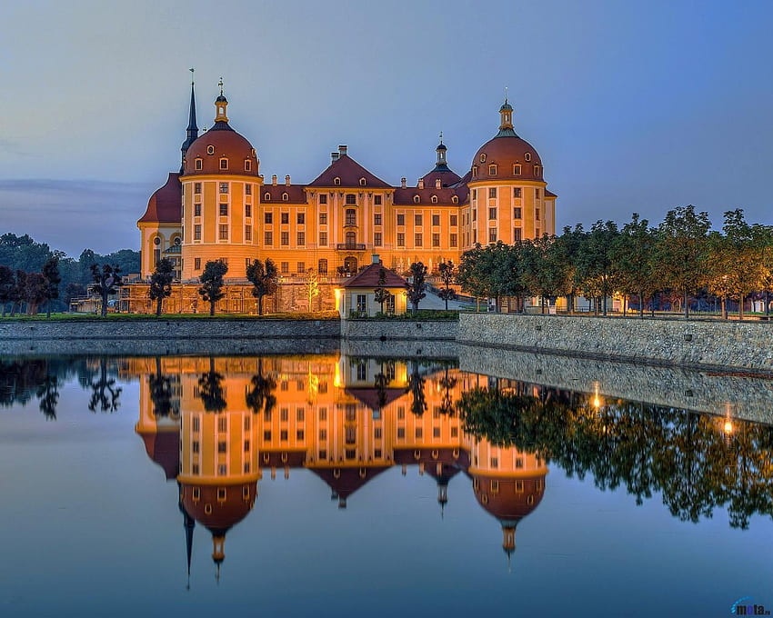モーリッツブルク城は水に映る、ドイツ、反射、木、モーリッツブルク、建物、自然、城、水 高画質の壁紙