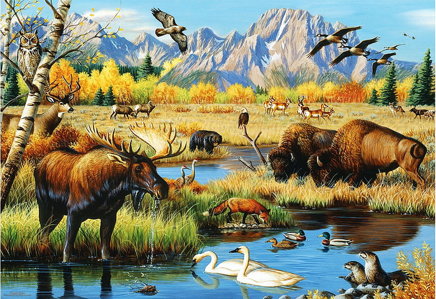 Wildlife Gathering, bawoły, jelenie, zwierzęta, ptaki, malarstwo, góry Tapeta HD