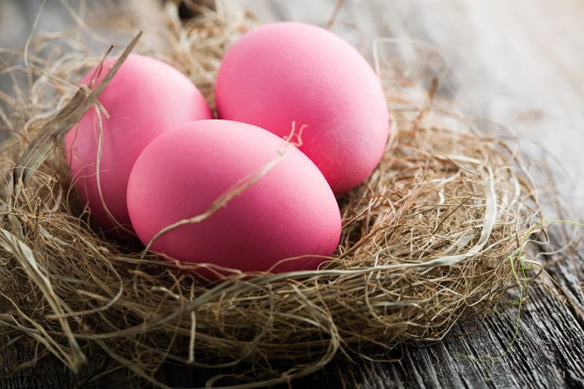 Easter Eggs, pink, holiday, easter, eggs, nest HD wallpaper