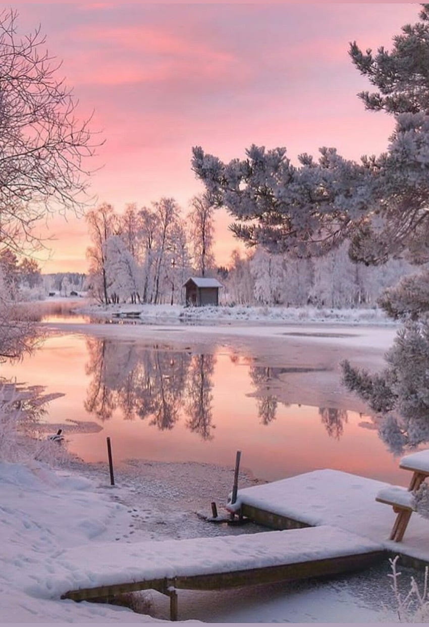Pink Aesthetic Snow Landscape HD phone wallpaper