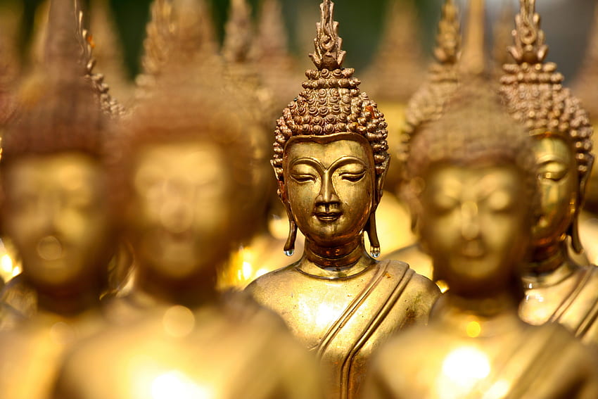 buddha . ololoshenka. Thailand, Thailand travel, Buddha, Neon Buddha HD wallpaper