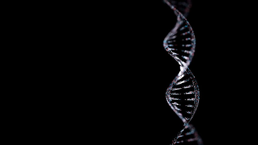 被写界深度のある抽象的なきらびやかな DNA 二重らせん、DNA 構築の科学アニメーション、ゲノムの未来的な、遺伝情報の概念設計、コンピューター生成アニメーション モーション背景 - ストーリーブロック 高画質の壁紙