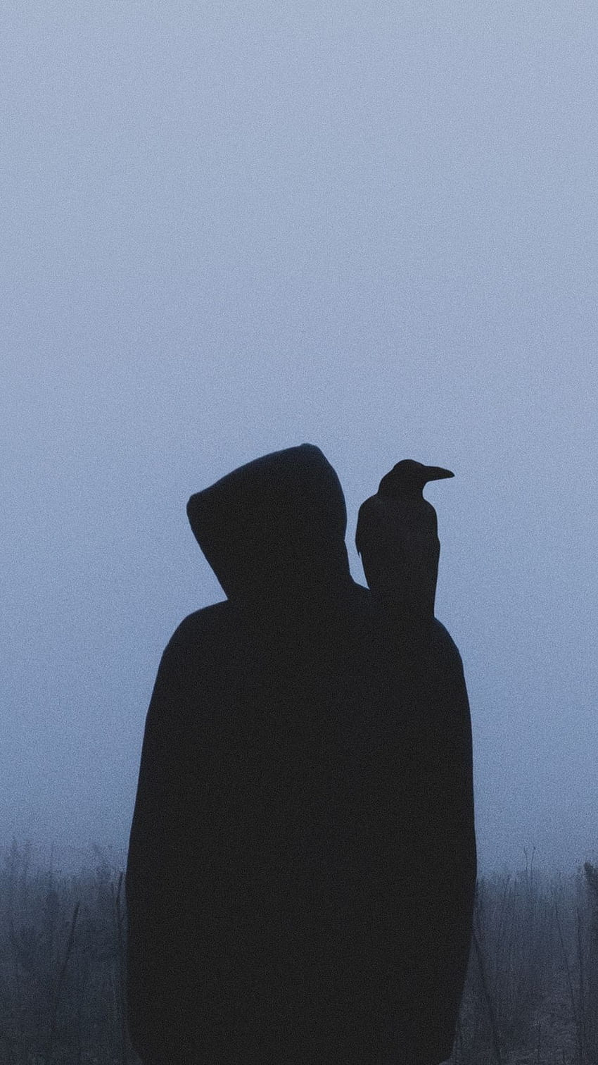 silhouette, crow, hood HD phone wallpaper
