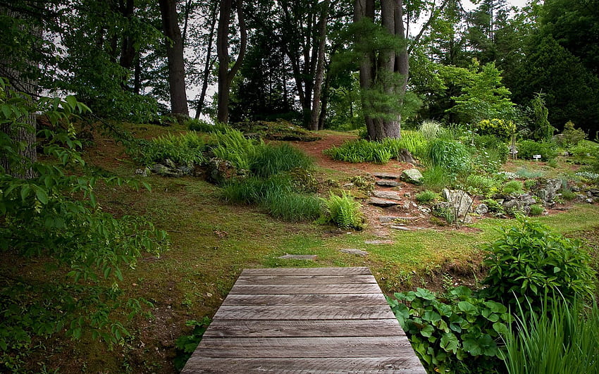 Natur, Holz, Holz, Vegetation, Greens, Brücke, Garten HD-Hintergrundbild