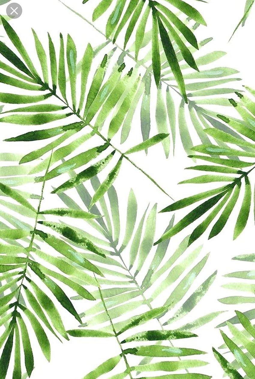 Meleny Peña on . Plant , Leaf, Watercolor Leaf HD phone wallpaper