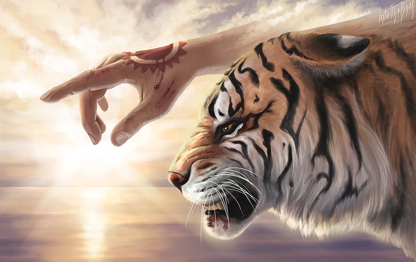 Tiger, intothebear, art, fantasy, into the bear, sunset, hand HD wallpaper