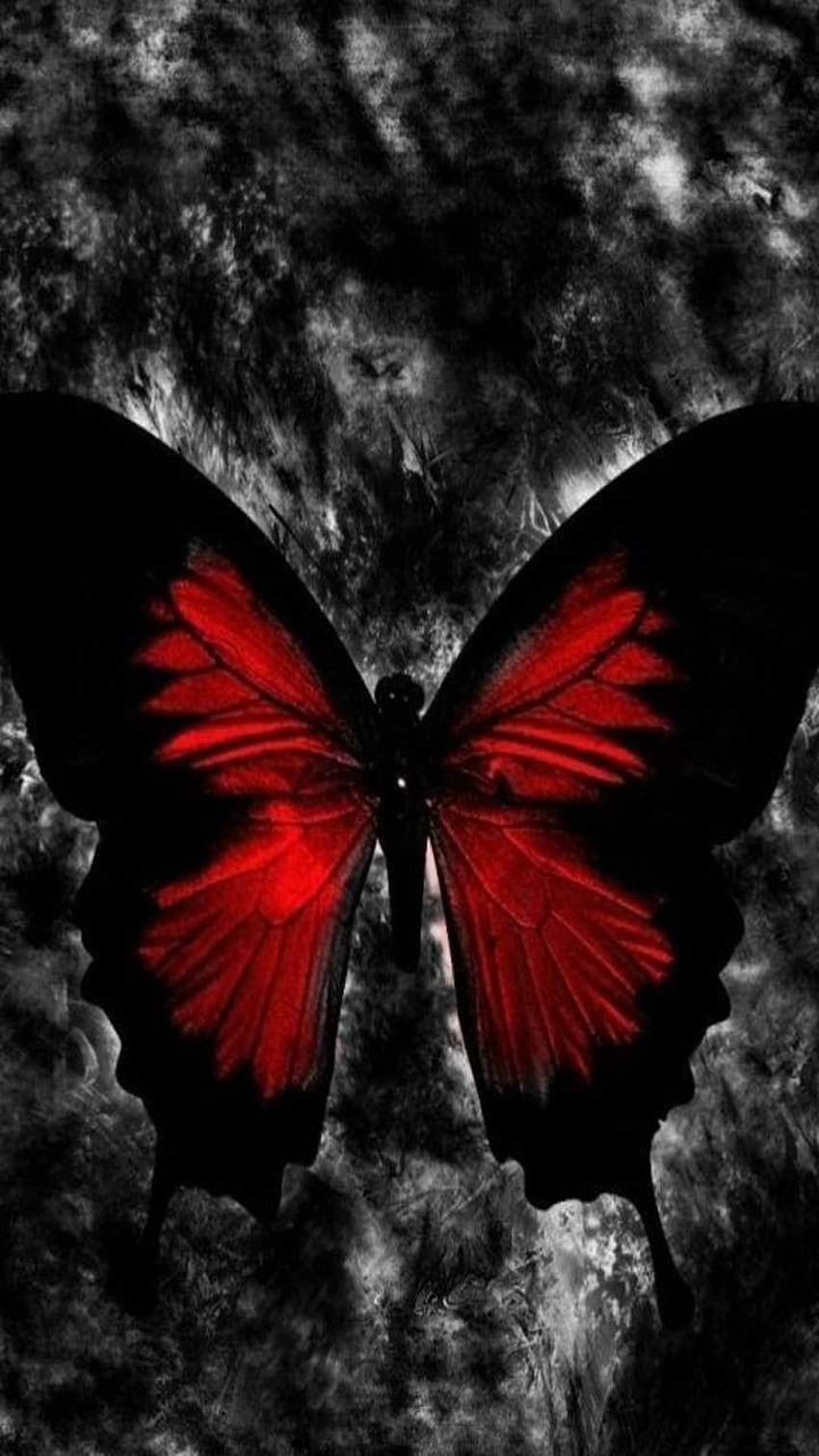 . От неизвестен изпълнител. Готика, готически фон, пеперуда, червена пеперуда 3D HD тапет за телефон