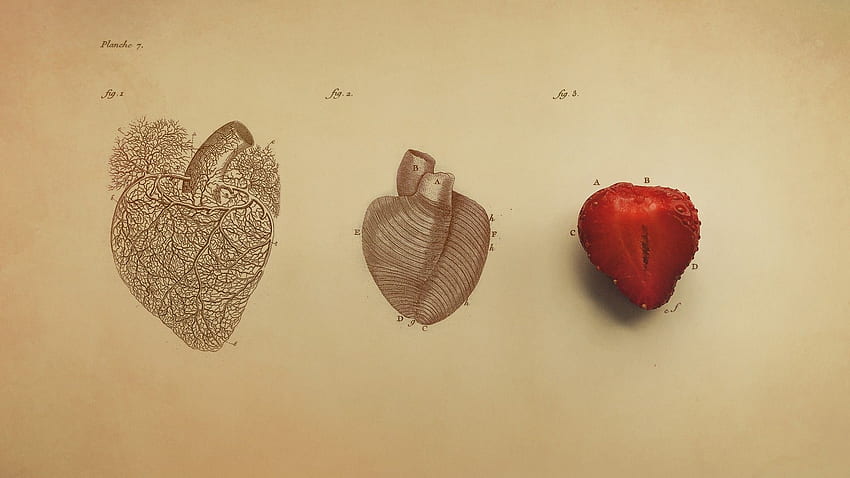 Heart Digital Art Minimalism Simple, Vintage Heart HD wallpaper