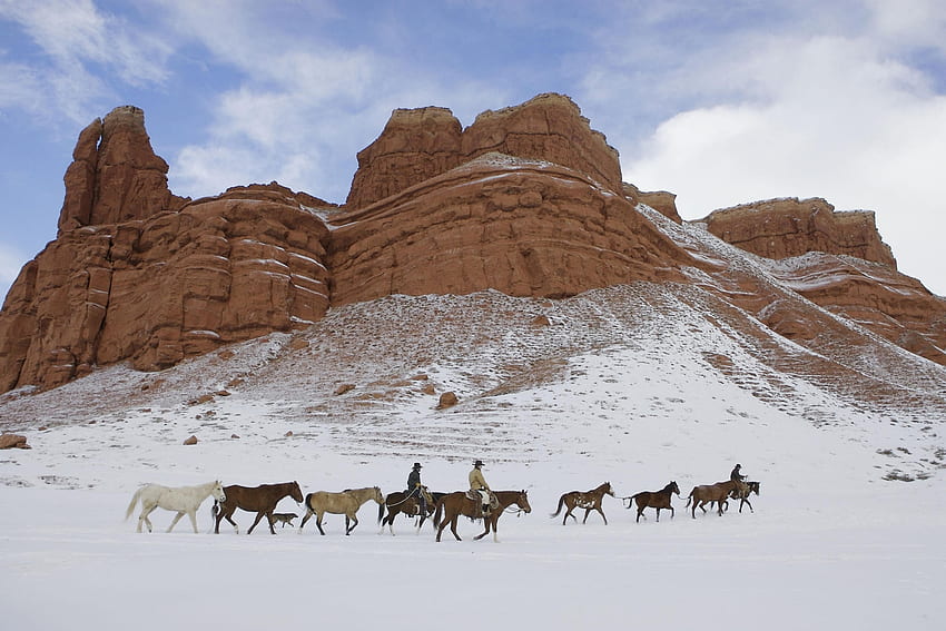 Wyoming, zwierzęta, niebo, konie, śnieg, Ameryka, płaskowyż, kowboj Tapeta HD