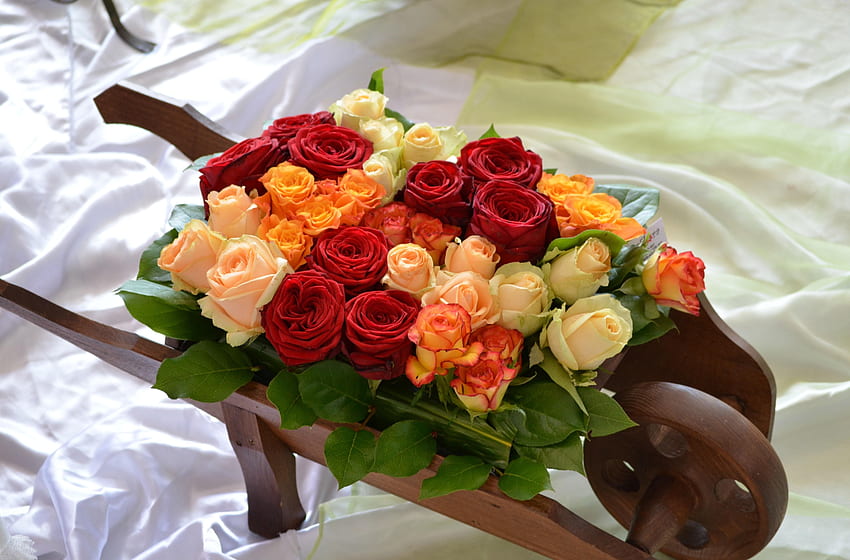 Flowers, Roses, Buds, Note, Bed, Different, Cart HD wallpaper