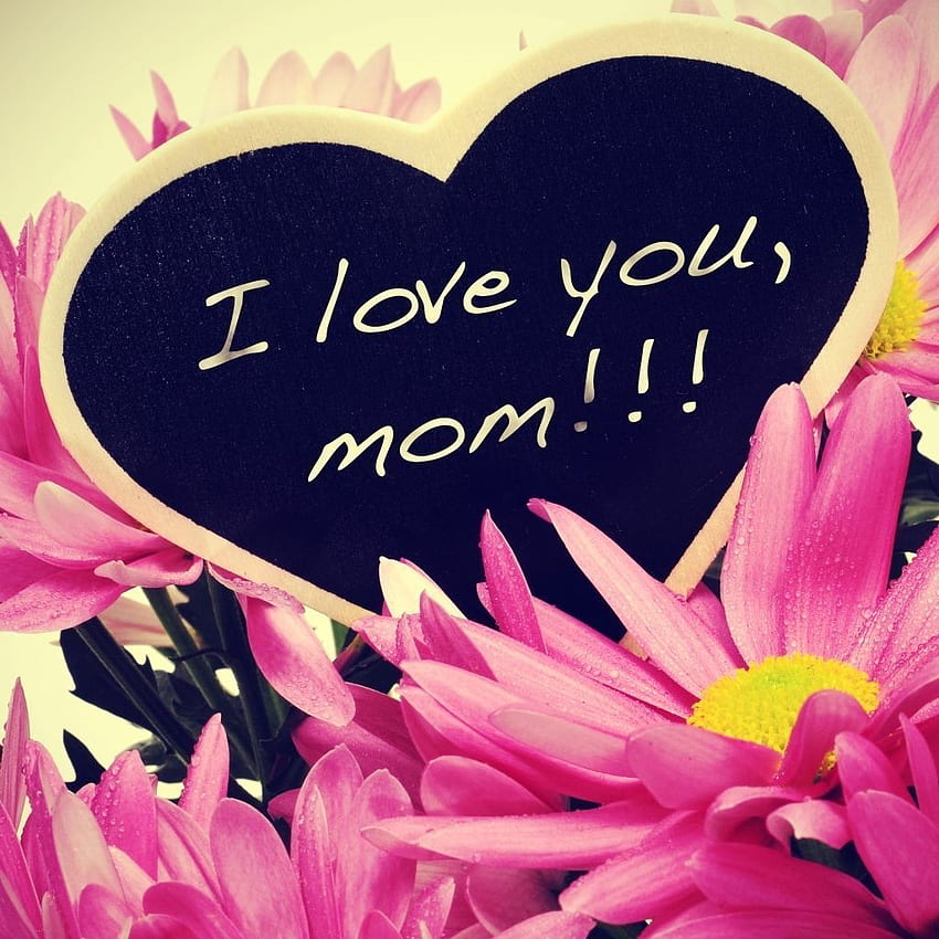 I Love You Mom And Dad HD phone wallpaper