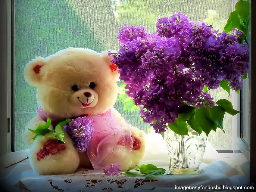 Miś Kwiaty Okno Kochający Słodycz - Najpiękniejszy Miś - - Tapeta HD