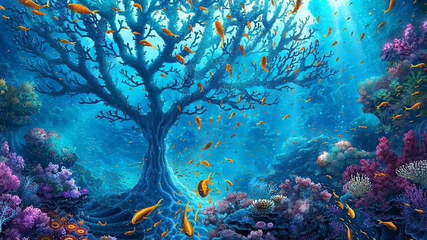 Underwater, Undersea HD wallpaper