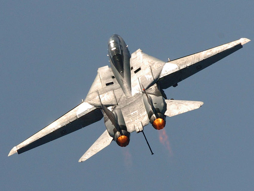 Tomcat, militaire, force, bombardier, puissance de feu, jet, avion, aile, air, avion, chasseur Fond d'écran HD
