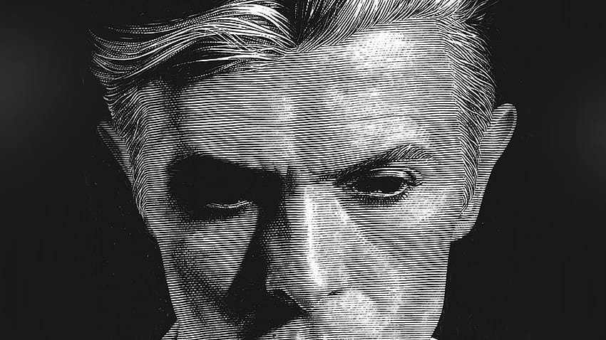 David Bowie Art Face Singer Artist Bw Dark Illust Anime, David Bowie Cool HD wallpaper