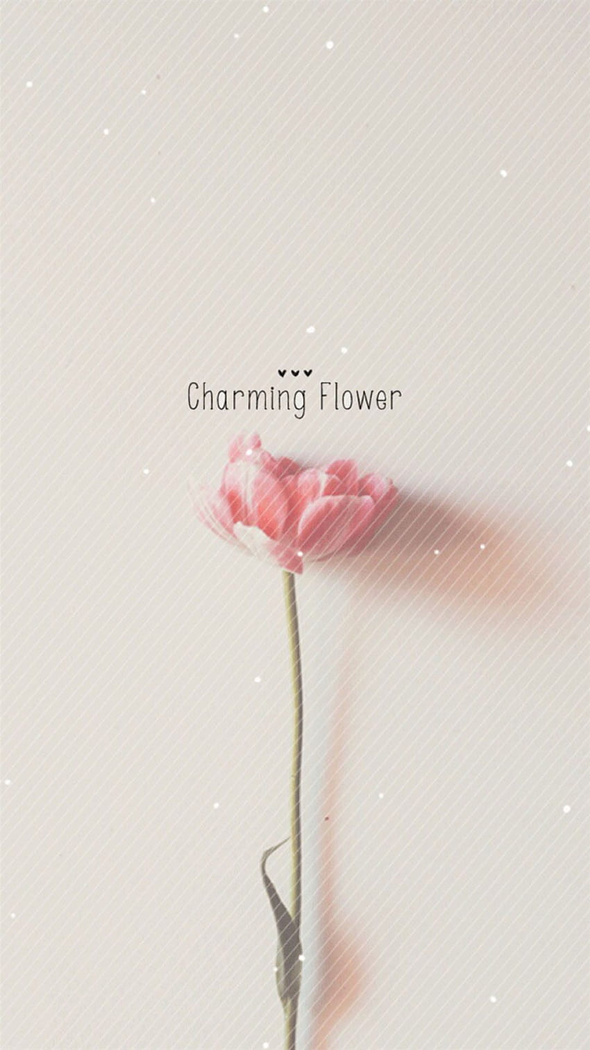Minimalist Floral Watercolor iPhone, Simple Watercolor HD phone wallpaper
