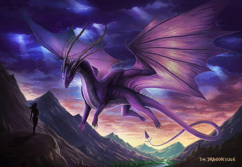 Dragons violets, beau dragon violet Fond d'écran HD