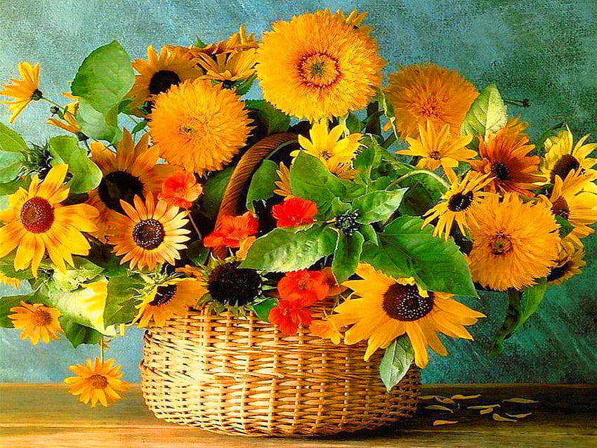 Masih hidup, cantik, oranye, bagus, keranjang, bunga matahari, cantik, kuning, bunga, indah, harmoni Wallpaper HD