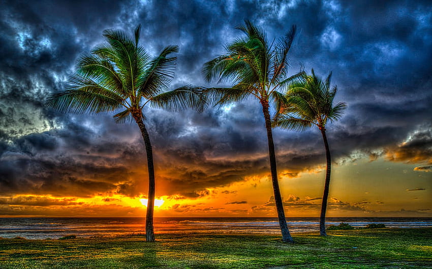 オアフ島太平洋の夕日、マイリ ビーチ パーク、ポカイ湾、ハワイ、雲、色、空、アメリカ、ヤシの木 高画質の壁紙