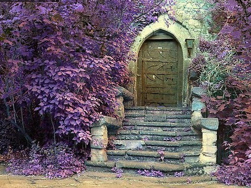 Le scale, la ringhiera, il vecchio, le scale, la porta ovale, le foglie viola, gli alberi, le viti, la pietra Sfondo HD