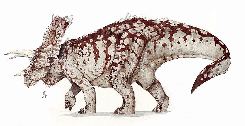 A Triceratops Kaptan Amerika'ya Karşı - Savaşlar HD duvar kağıdı