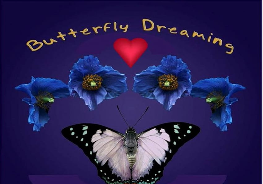나비 꿈, 단어, 나비, 예술, 붉은 마음, 푸른 꽃 HD 월페이퍼