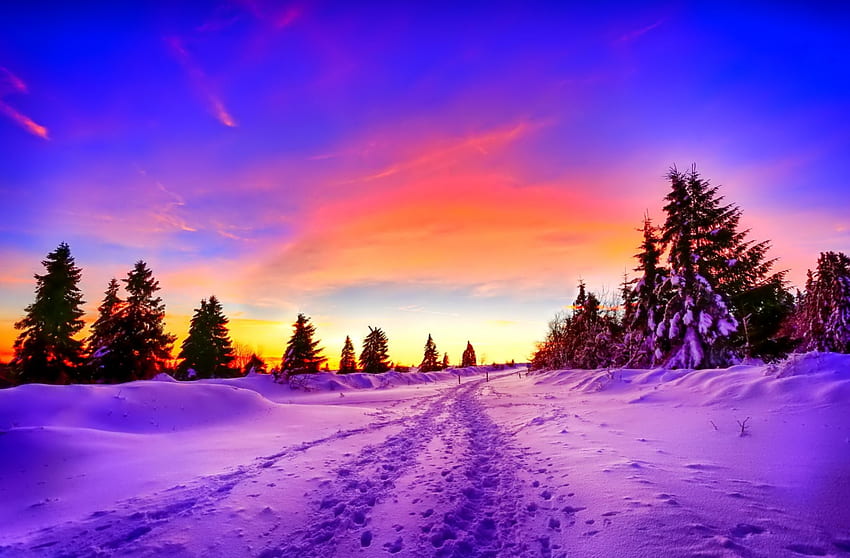 Inverno, graphy, meraviglioso, fiocchi di neve, fiocco di neve, neve, alberi, sole, freddo, bello, albero, natura, cielo, bello, splendore, ghiaccio Sfondo HD