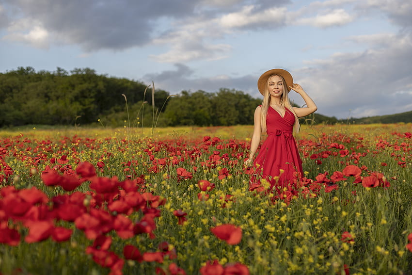 Beauty, model, poppy, red, field, flower, vara, hat, girl, woman, summer HD wallpaper