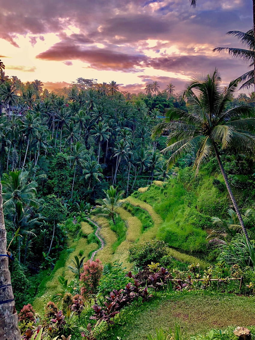 Alexandra Balaton auf dem iPhone hátterképek. Bali, R HD-Handy-Hintergrundbild