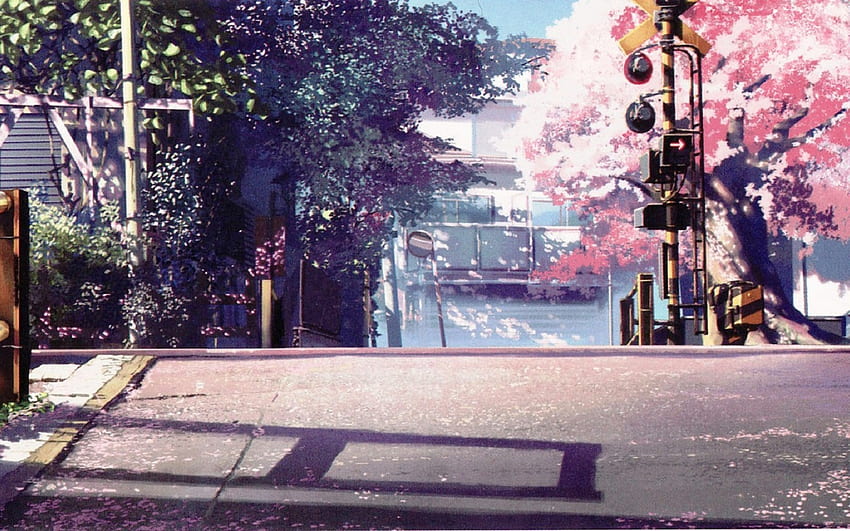 Anime Cherry Blossom, Anime Spring Landscape HD wallpaper
