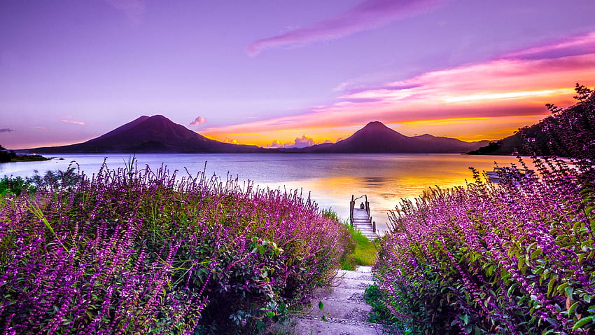 Volcano Sunset Flower Purple Dreamy Landscape - , , เหมือนฝัน , ดอกไม้ , - , ทิวทัศน์ , ภูเขา , พระอาทิตย์ตก วอลล์เปเปอร์ HD