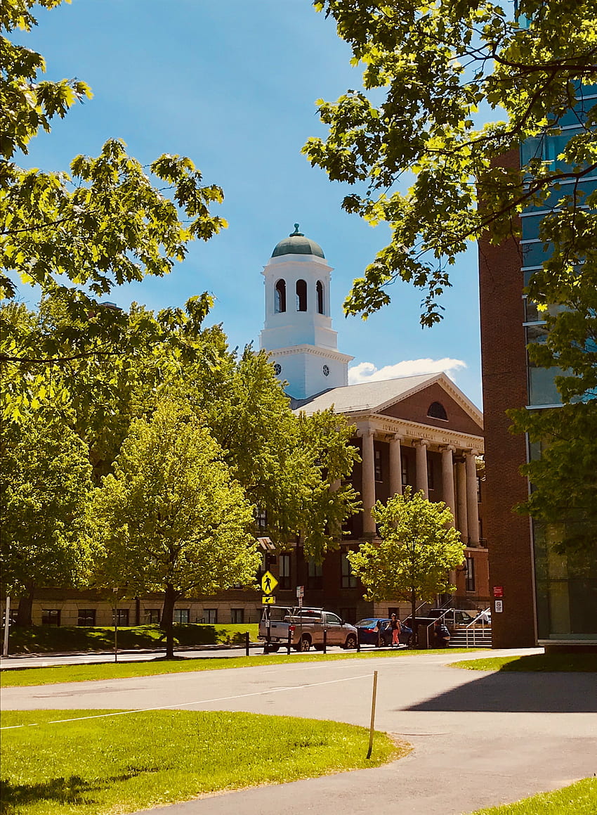 Harvard, Harvard-Universität HD-Handy-Hintergrundbild
