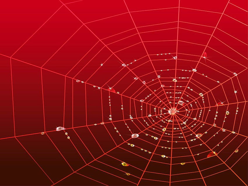 Web With Drops Vector Art & Graphics, Spider-Man Web Tapeta HD