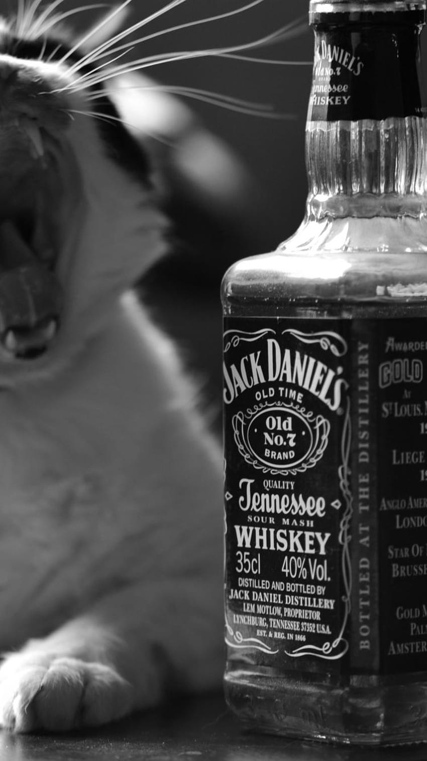 Jack Daniels iPhone, Liquor HD phone wallpaper