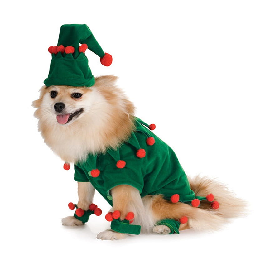 Disfraz navideño para mascotas ▻ Viste al perro: ¡ropa para tus mascotas! fondo de pantalla del teléfono