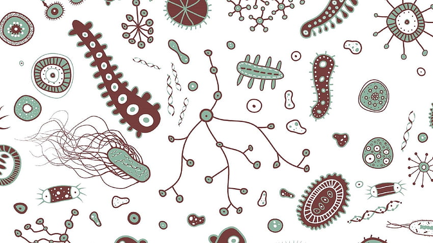 bactérias, micróbios papel de parede HD