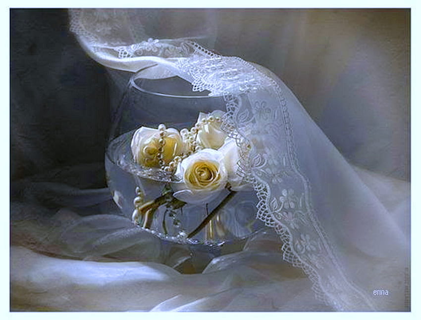 Lace and roses, still life, white, roses, pearls, lace HD wallpaper